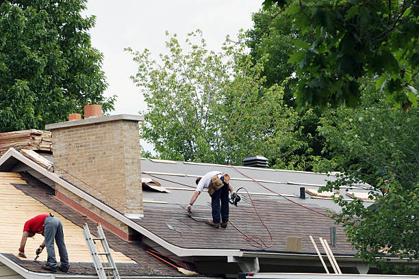 Best Storm Damage Roof Repair  in Parkville, MO