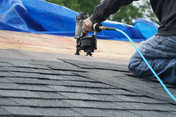 Best Shingle Roofing Installation  in Parkville, MO