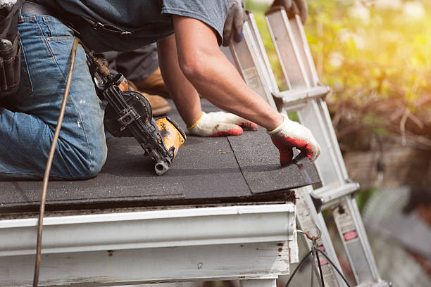 Best Flat Roof Repair Services  in Parkville, MO